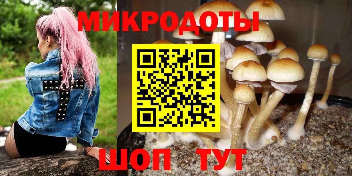 Галлюциногенные грибы MAGIC MUSHROOMS  Вход с VPN  Улан-Удэ 